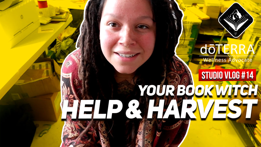 Your Book Witch Help & Harvest || STUDIO VLOG #14 || 10/27/20 || Mountain Bound Books